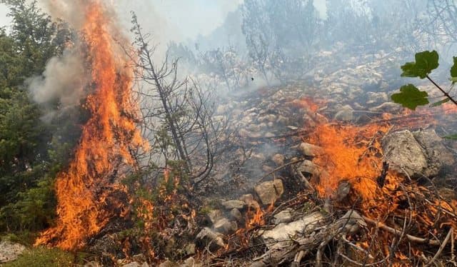 Zjarr në Leskovik, zona kufitare është e minuar