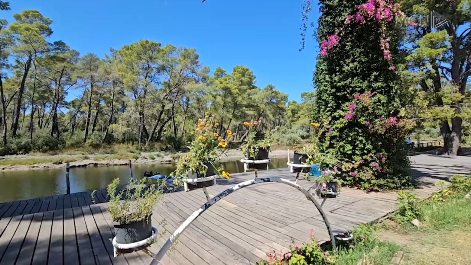 Divjaka, destinacioni i vjeshtës/ Turistë të huaj dhe vendas tërhiqen nga bukuritë e parkut (VIDEO)
