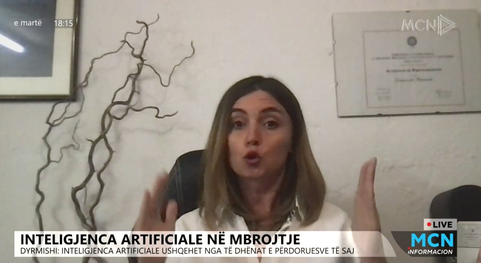 AI në fushën e mbrojtjes/ Dyrmishi: Efektive përsa kohë ushqehet me të dhënat tona (VIDEO) 