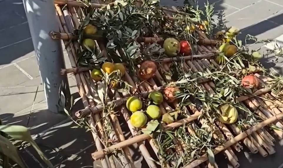 “Traditë, mikpritje dhe kulinari” në Laç/ Panairi bën bashkë të moshuar e të rinj (VIDEO)