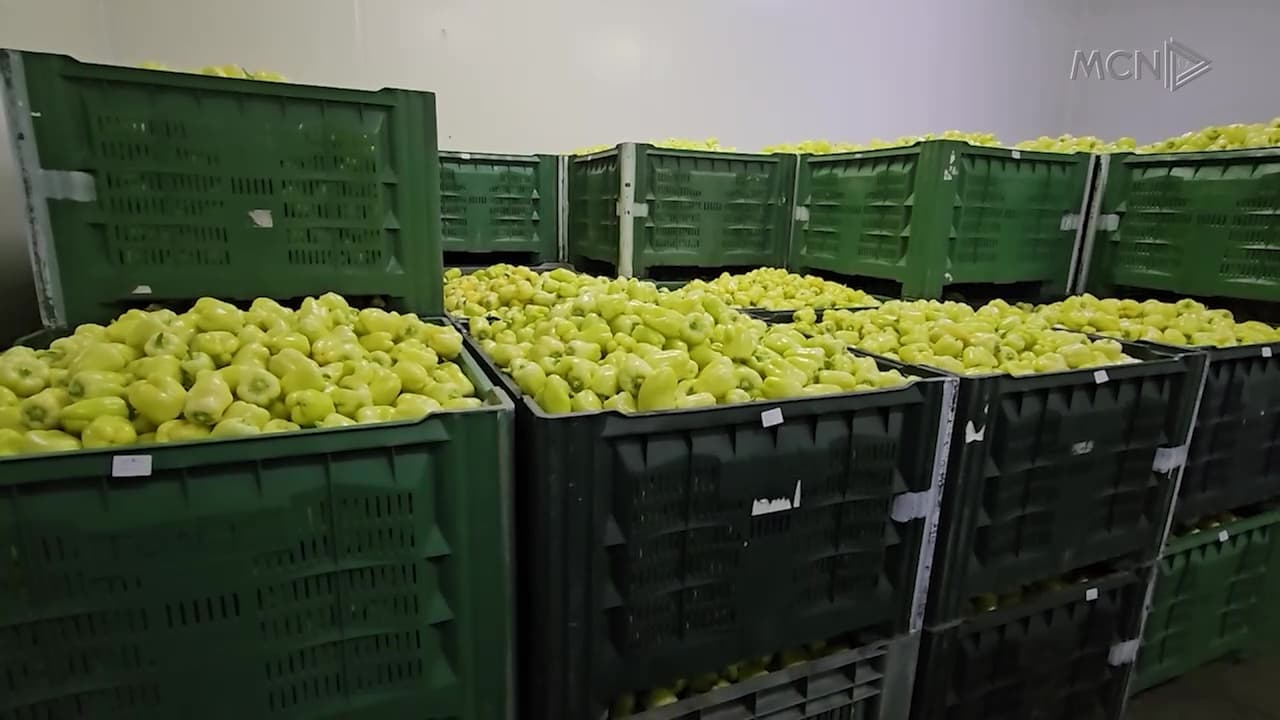 Rifillojnë eksportet drejt Europës / Etiketa në çdo arkë, garanci për prodhimet bujqësore (VIDEO)