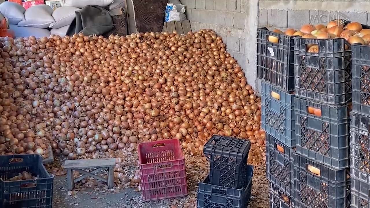 Prodhimet e Maliqit në tezga / Fermerët: Çmimi më i ulët se kostoja (VIDEO)
