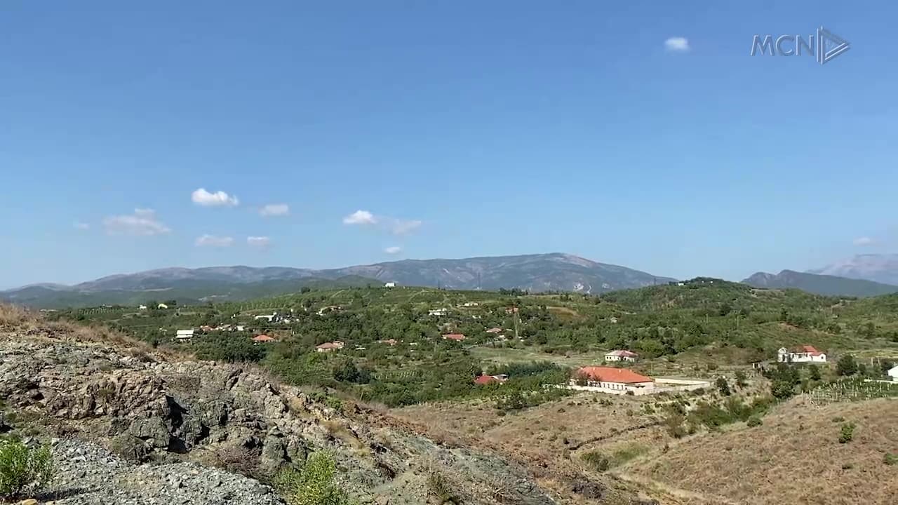 Vreshtat zëvendësohen me ullinj / Fermerët e Mirditës: Mungon tregu për shitjen e rrushit (VIDEO)