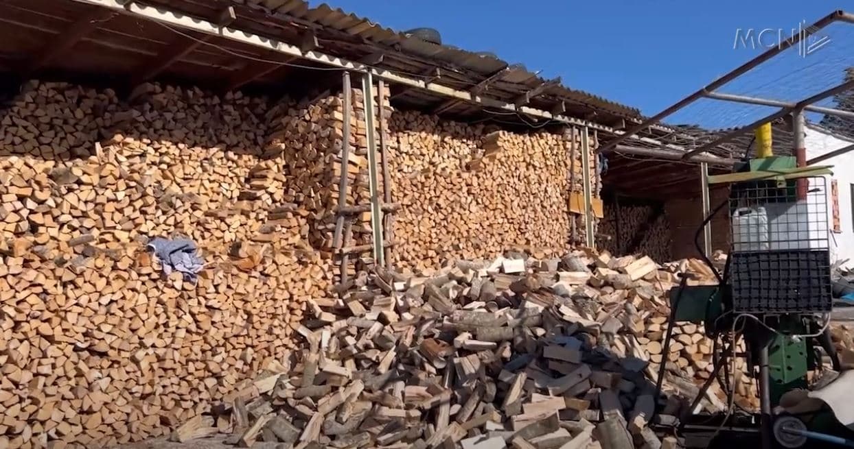 Rritet çmimi i druve në Korçë, një metër kub kushton 5 mijë lekë (VIDEO)