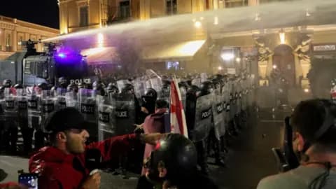 Protestuesit sulmojnë Pallatin Presidencial në Gjeorgji (VIDEO)