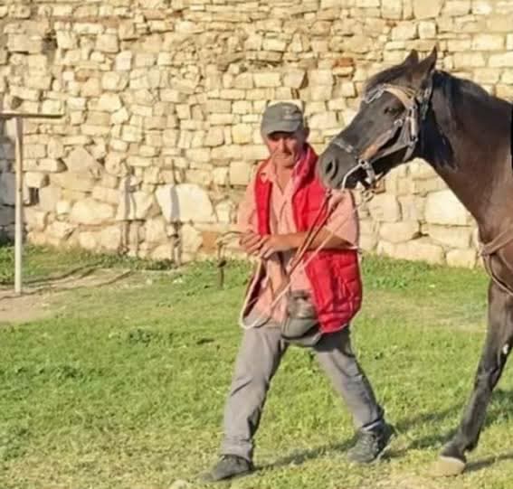 Vrasja në Berat, sherri nisi për një foto me kalin e autorit