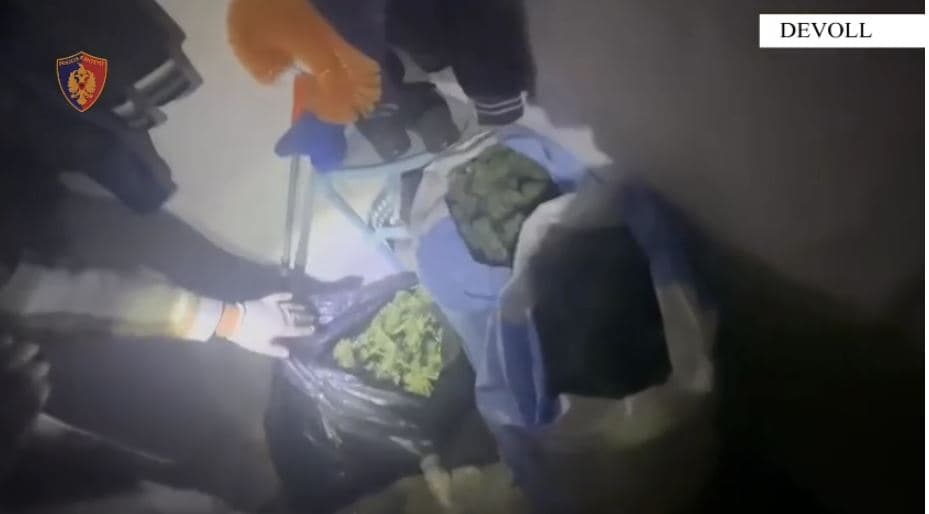 Kishin përgatitur 5.8 kg kanabis për ta trafikuar në Greqi, arrestohen burrë e grua në Devoll 