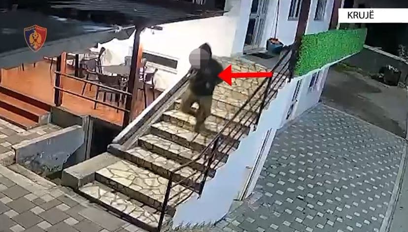     Identifikohet dhe arrestohet autori i dy vjedhjeve në Krujë