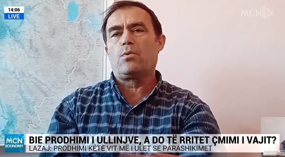 Bie prodhimi i ullinjve/ Lazaj: Shkak kushtet klimaterike. Nuk priten luhatje të mëdha në çmim 