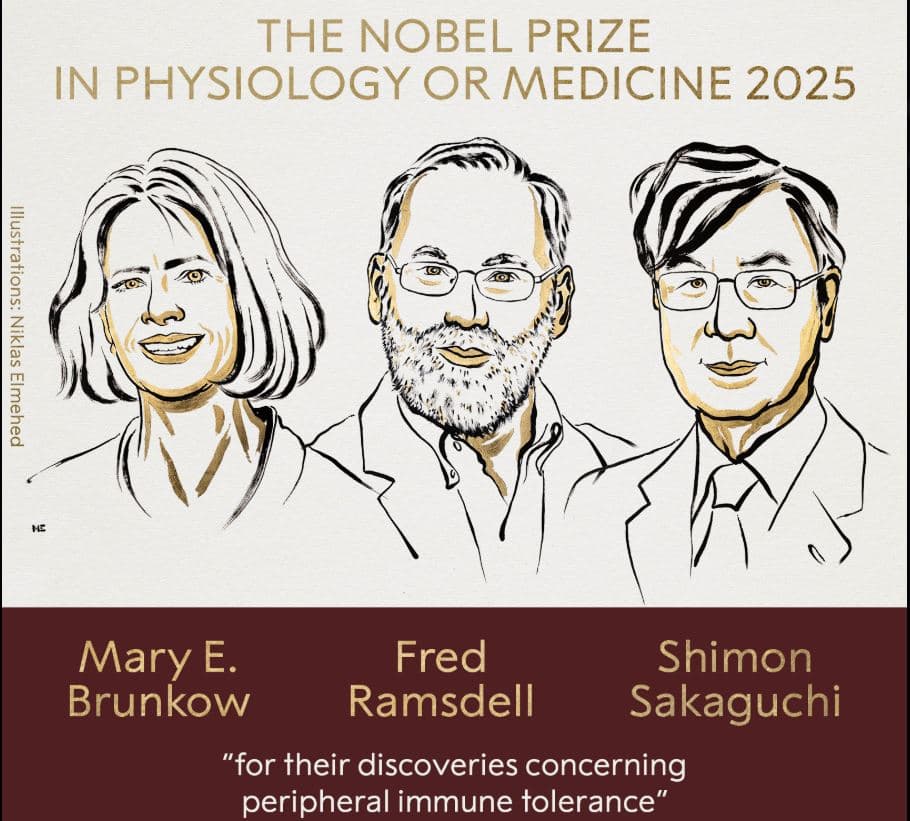 Nobeli në Mjekësi iu jepet tre shkencëtarëve për mekanizmat që parandalojnë sëmundjet autoimune