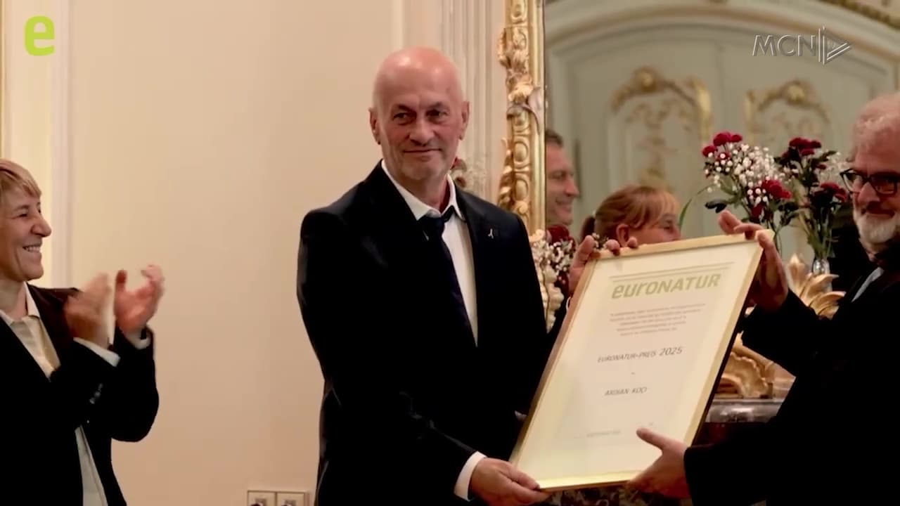 “Kam pasur presion nga ministrja Kumbaro” / Koçi: Edhe specialistë të tjerë të mjedisit, në të njëjtën situatë (VIDEO)