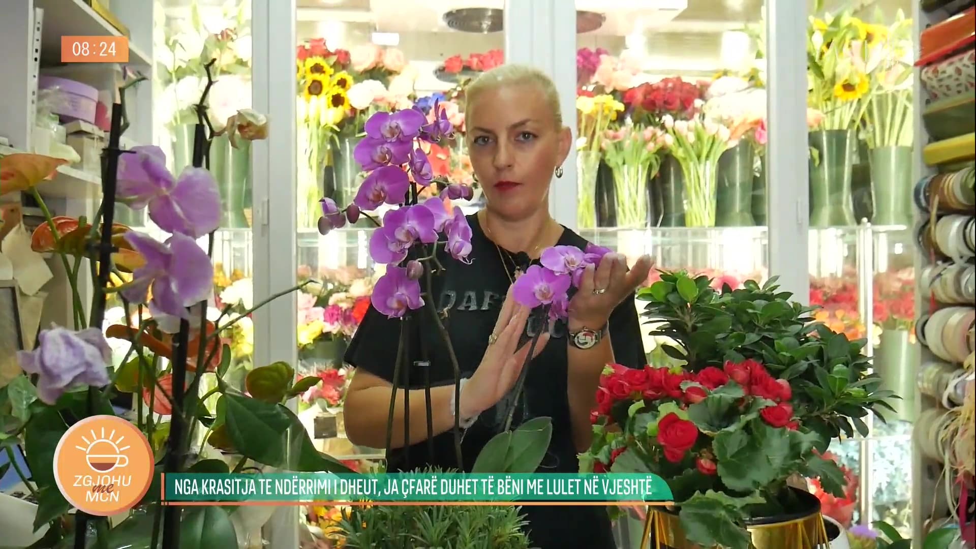 Këshillat e floristes Kordolli: Nga krasitja te ndërrimi i dheut, ja çfarë duhet të bëni me lulet në vjeshtë