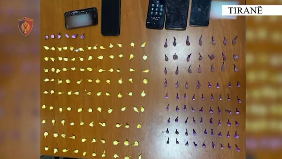 Në makinë me doza kokaine dhe heroine gati për ta shpërndarë, arrestohen dy të rinj në Tiranë