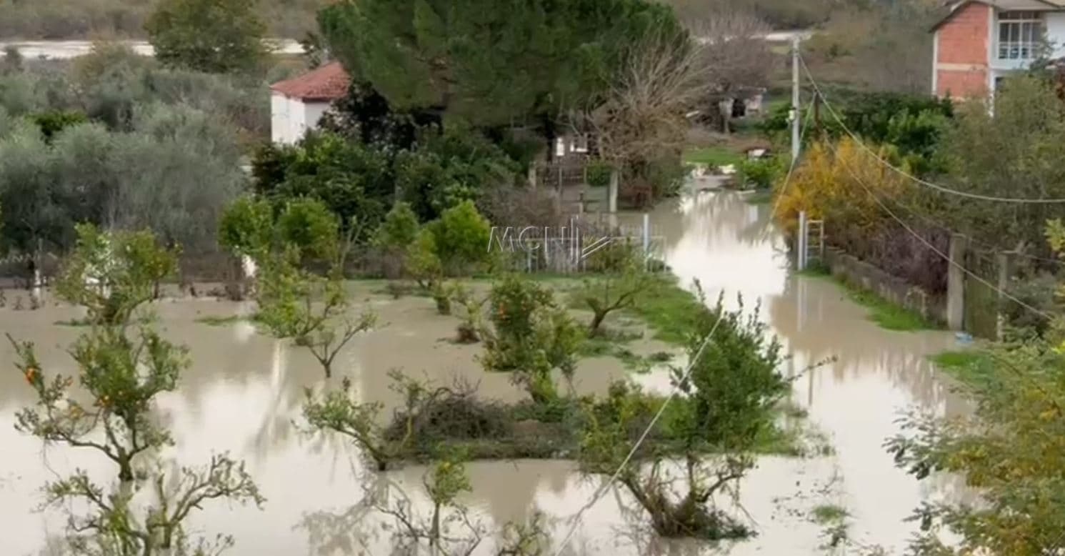 Vjosa del nga shtrati në Mifol, uji depërton në banesat e fshatit Fitore në Vlorë (VIDEO) 