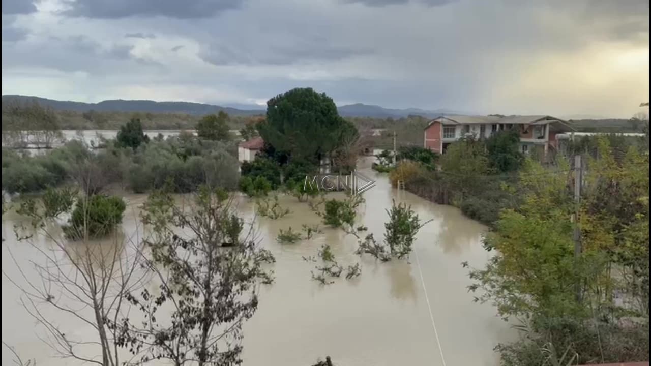     Pamje nga Vjosa/ Niveli i ujit arrin pikën kritike, banesat vijojnë të jenë nën ujë (VIDEO)
