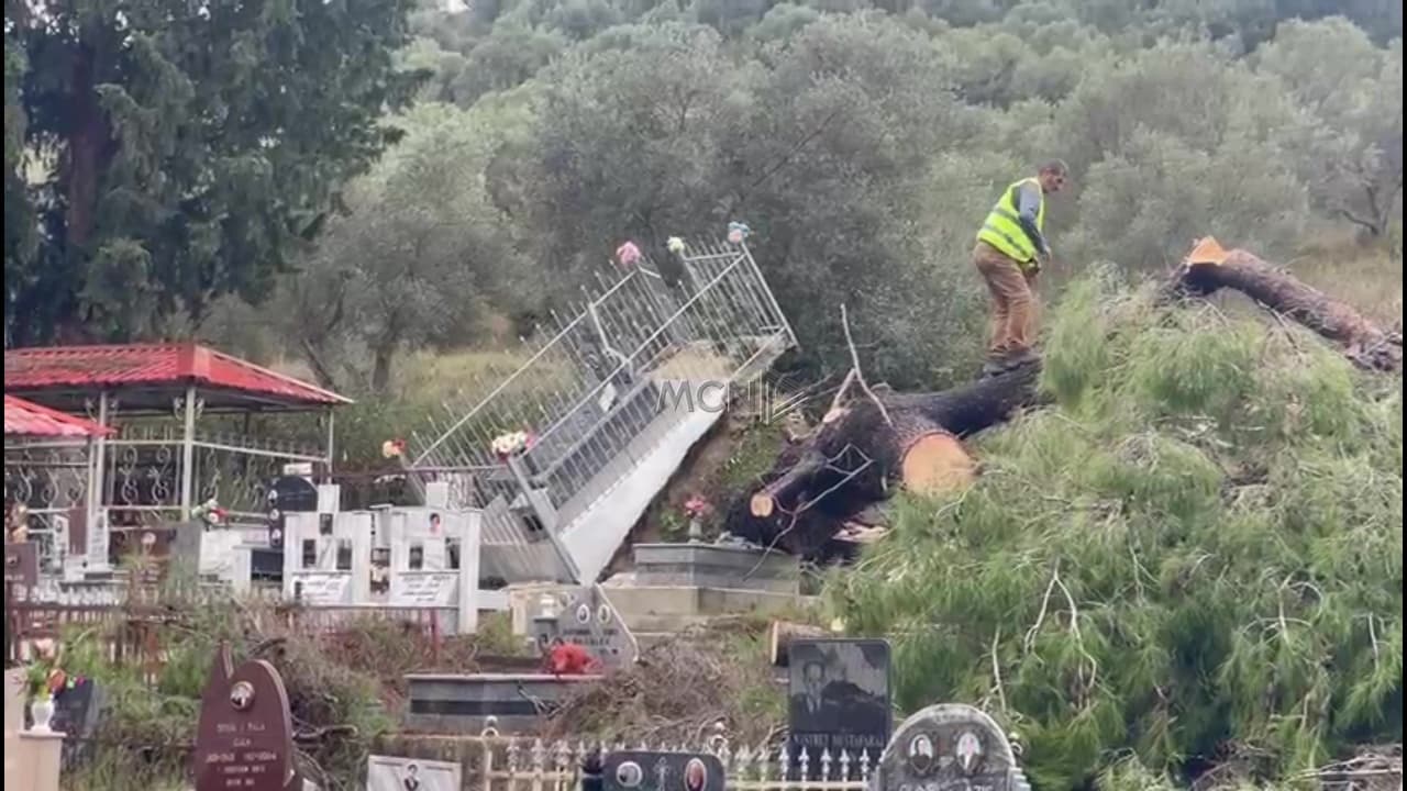     Era e fortë rrëzon pemën në varrezat e Vlorës, dëmtohen mbi 10 varre (VIDEO)