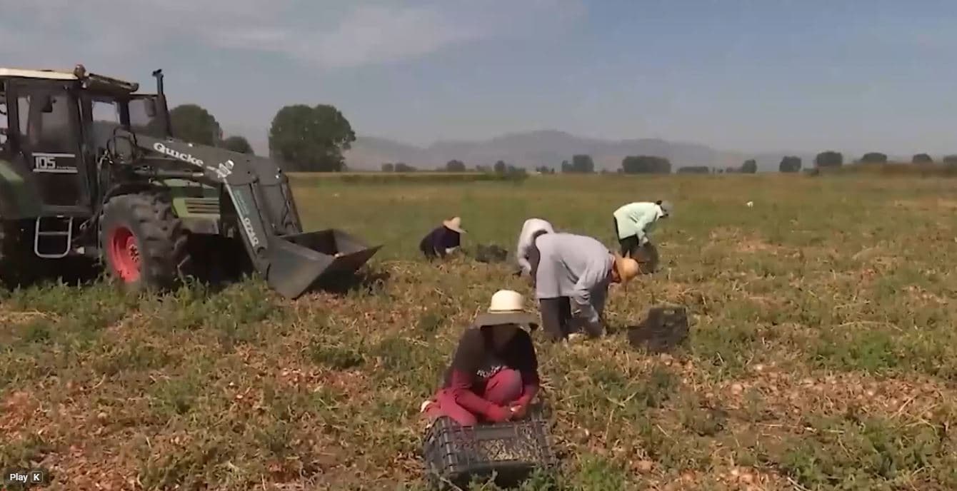 104 mijë fermerë jashtë skemës mbështetëse. Guri: Mekanizëm i ri për mbështetjen ndaj fermerëve