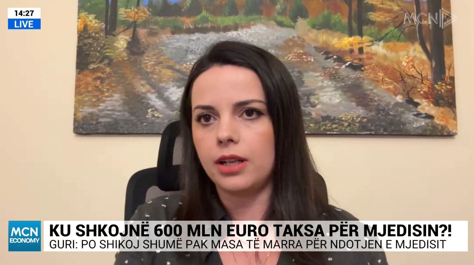 Guri: Miliona eurot që mblidhen si taksa për mjedisin, nuk shkojnë për mbrojtjen e tij  