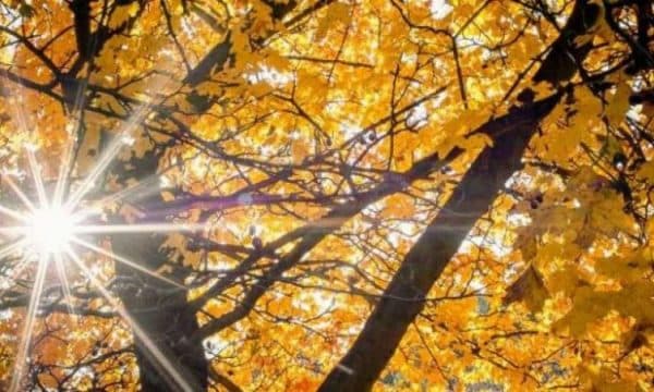 Moti sot/ I qëndrueshëm, temperaturat deri në 15 °C