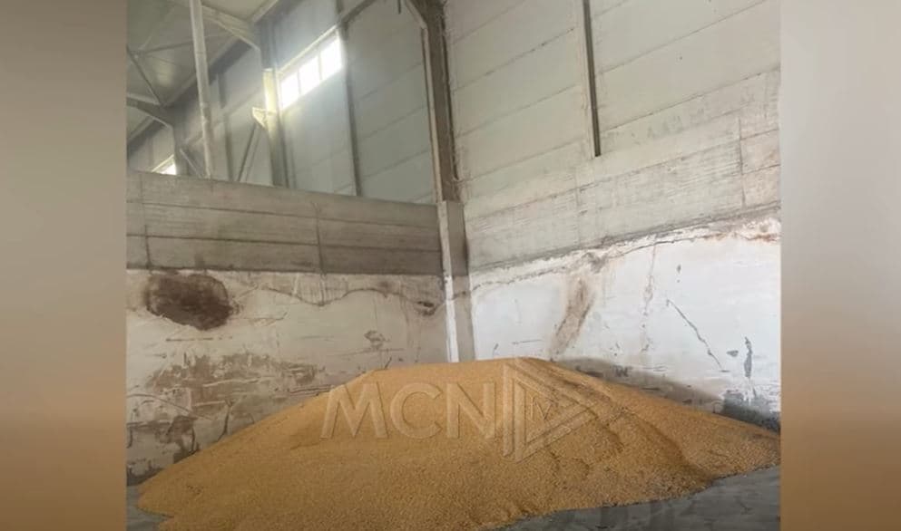 Kancerogjen 51 ton misër nga Serbia. Analizat laboratorike konfirmojnë praninë e aflatoksinës (VIDEO)