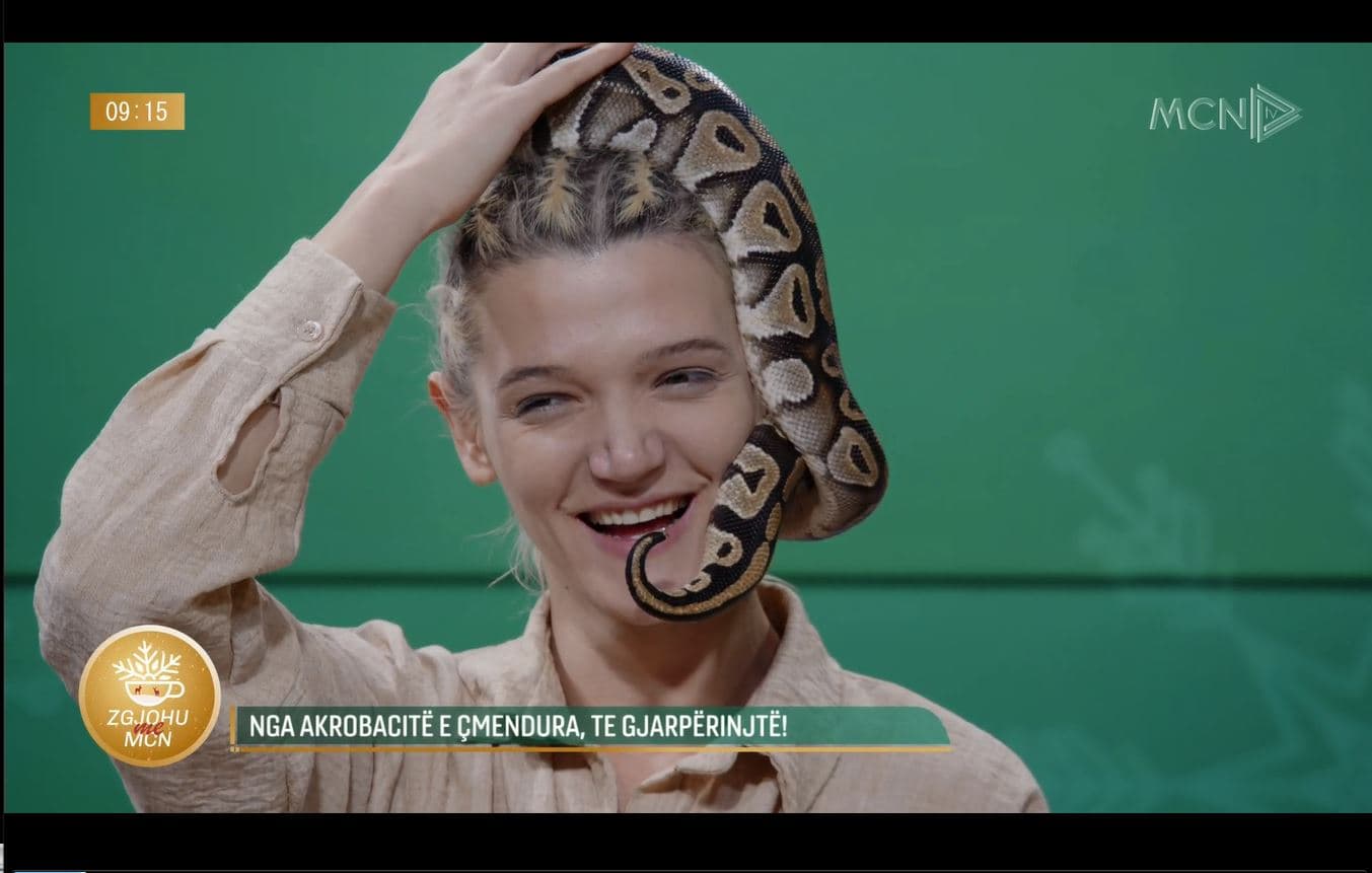 Me gjarpër në studio/ Akrobatja Rushiti flet për dashurinë ndaj zvarranikëve që përdor në performancat e saj
