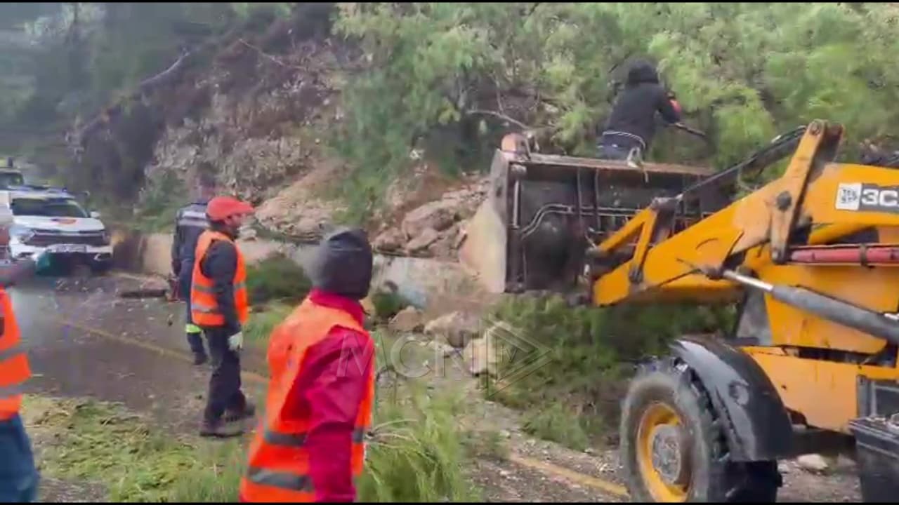 Pema e rrëzuar nga stuhia bllokon aksin rrugor Radhimë-Orikum (VIDEO)