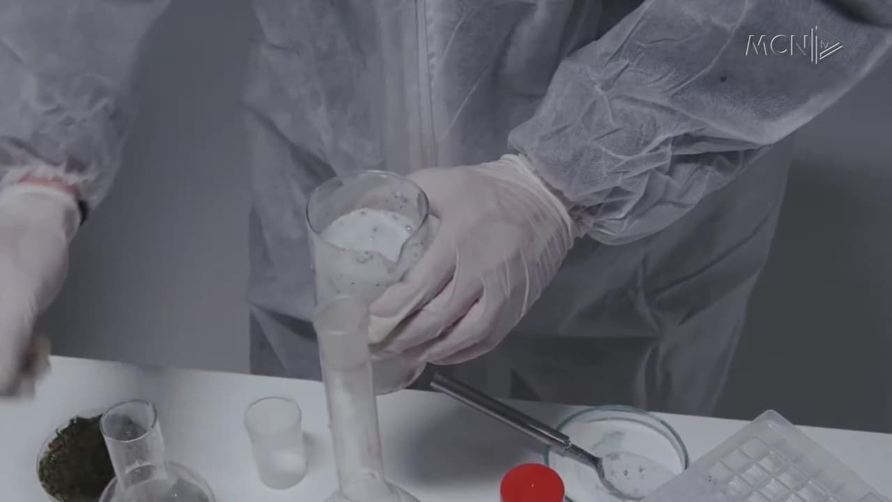 Shtohet përdorimi i drogërave të reja / Nga Ekstazia te MDMA-ja, shifrat për 5 vite (VIDEO)