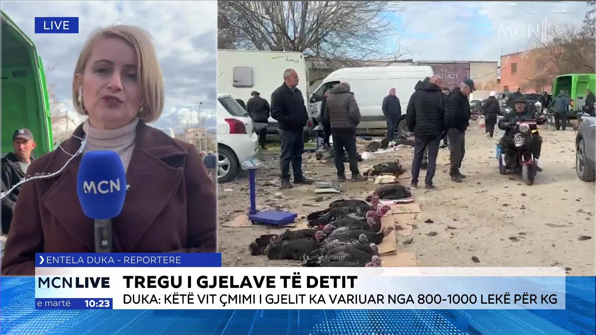 Tregu i gjelave të detit në Elbasan/ Duka: Rënie e fuqisë blerëse, çmimi ka varuar nga 800-1000 lekë për kg (VIDEO)