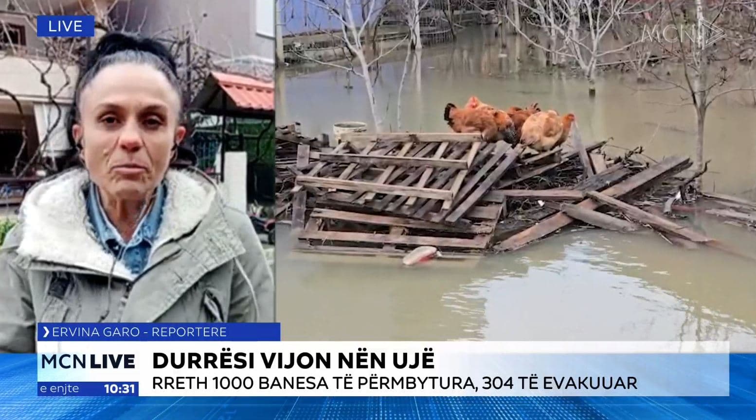 Durrës/ 1000 banesa të përmbytura dhe 304 banorë të evakuuar. Del nga shtrati Erzeni (VIDEO)