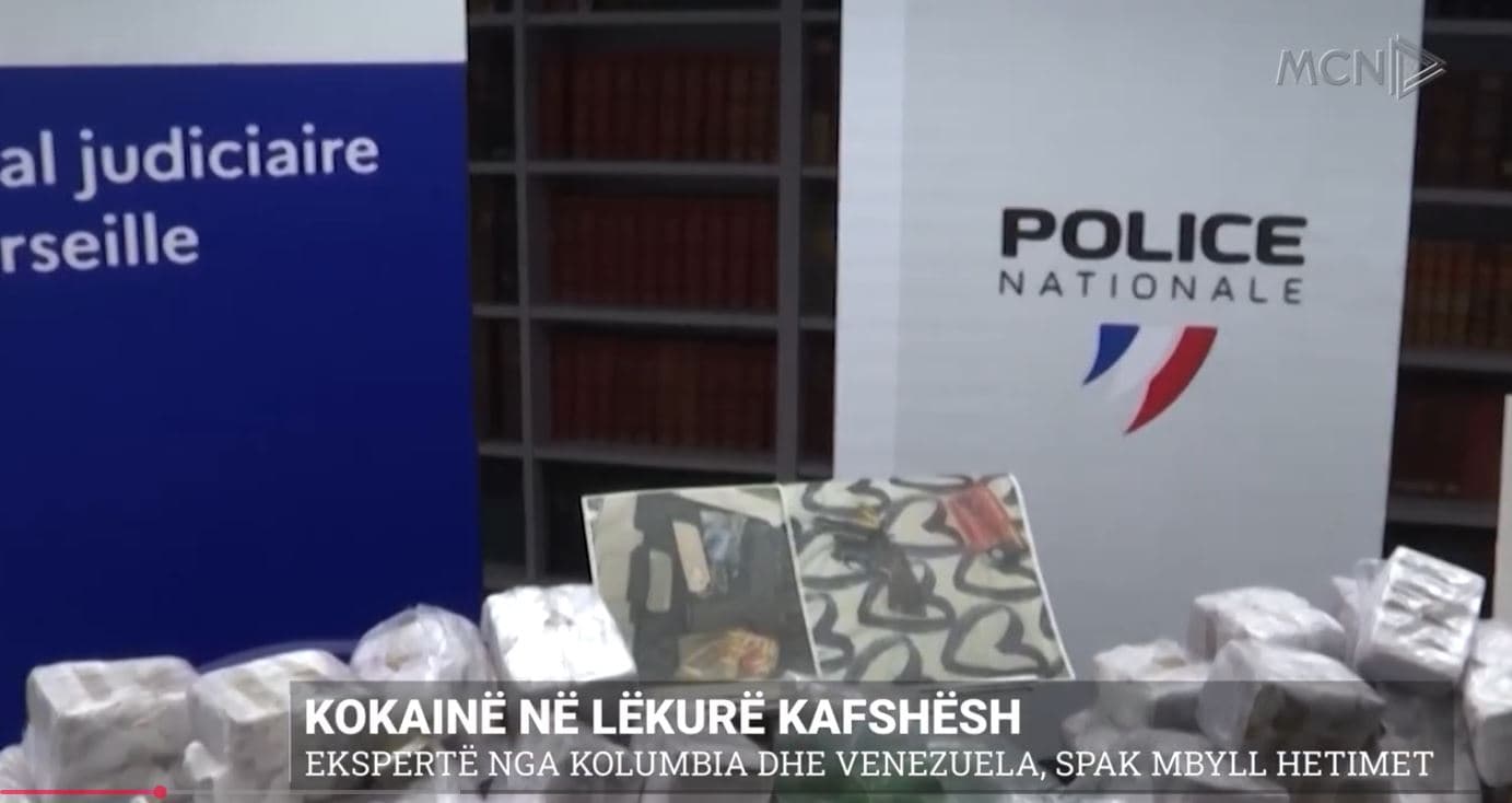 Kokainë në lëkurë kafshësh. Ekspertë nga Kolumbia dhe Venezuela, SPAK mbyll hetimet (VIDEO)