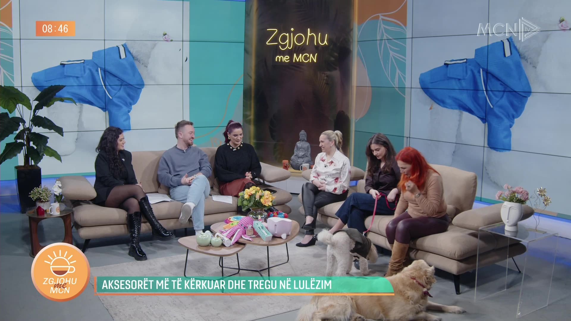 14 janari, Dita e modës për kafshët shtëpiake/ Panelistet diskutojnë: Kujdesi për look-un, nevojë apo çmenduri?