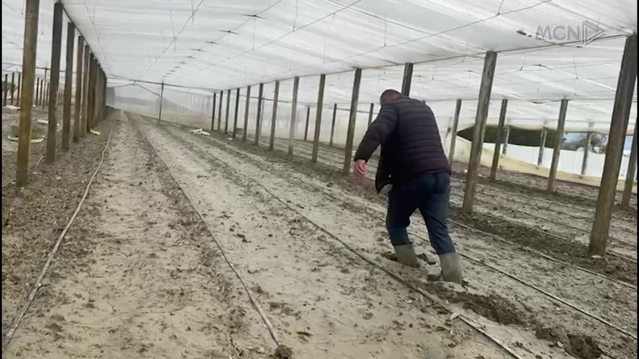 Balta në serra deri në 40 centimetra / Lushnjë, fermerët: Jemi të falimentuar, të na jepen lekët e shpenzimeve (VIDEO)