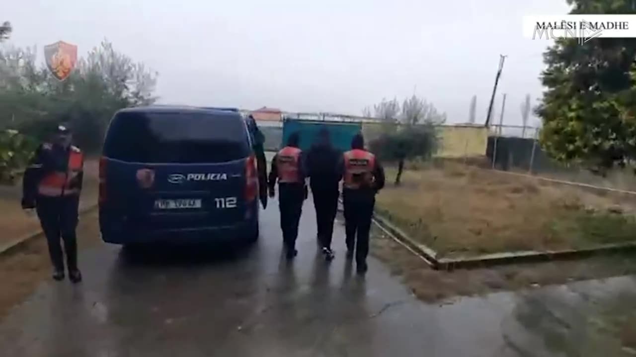 Shkodër, zbulohen tri “shtëpi bari” të tjera / Kanabisi kultivohej në banesë dhe stalla, sekuestrohen 771 bimë (VIDEO)