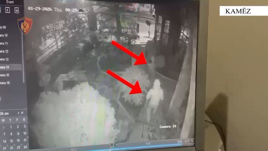 Vodhën biznesin në Kamëz, arrestohen dy të rinj me precedentë penalë 