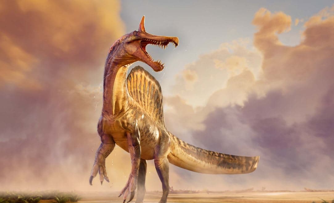 Zbulohet në Niger një specie e re dinosauri grabitqar