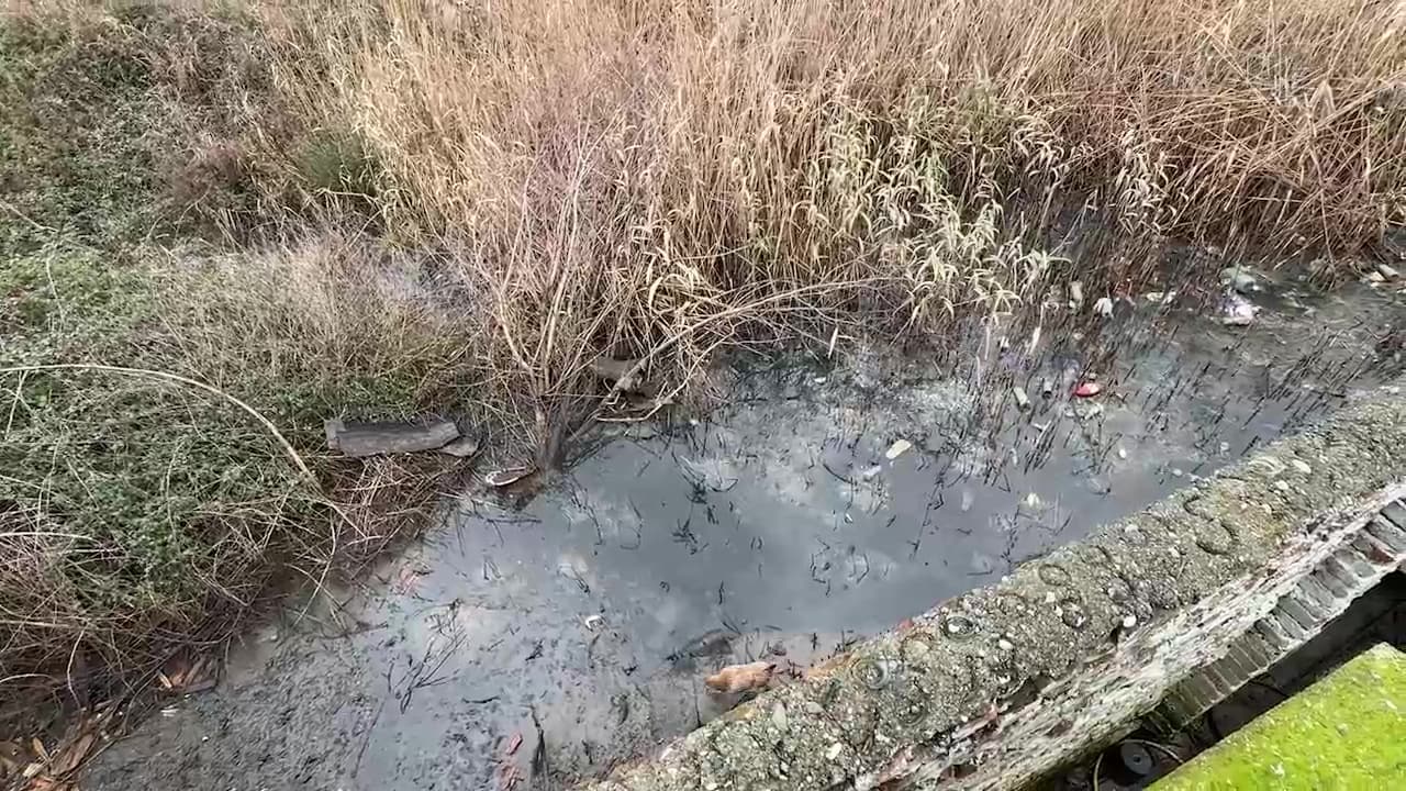Jetesë mes ujërave të zeza / Lezhë, banorët e lagjes “Skënderbeg”: Na rrezikohet shëndeti (VIDEO)