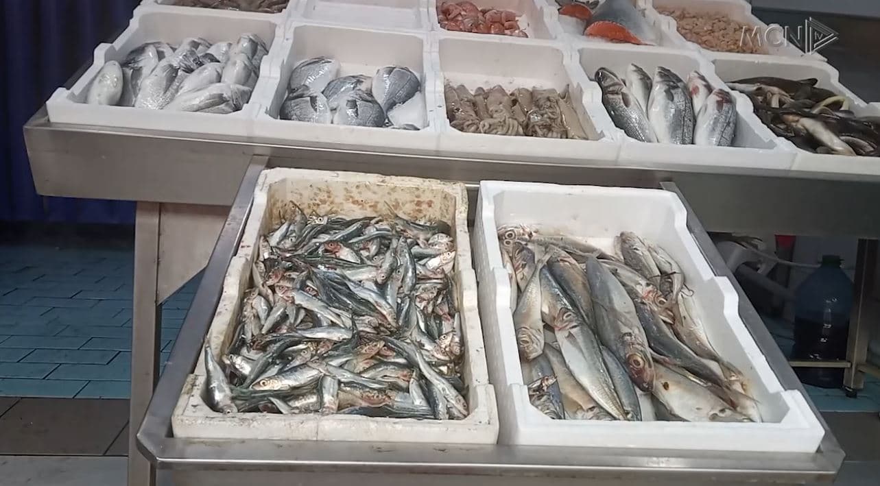 Çmimi i naftës reflekton dhe tek peshku në Durrës, produktet e detit shtrenjtohen me 50 deri në 100 lekë/kg (VIDEO)