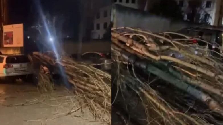  Era e fortë rrëzon një pemë mbi një makinë në lagjen ‘24 Maji’ në Vlorë