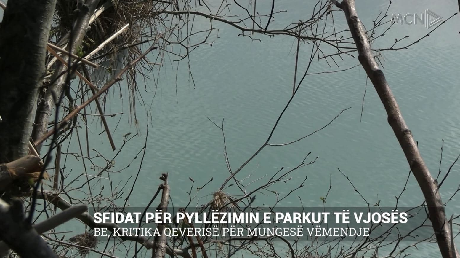 Sfidat për pyllëzimin e parkut të Vjosës/ BE, kritika qeverisë për mungesë vëmendje (VIDEO)