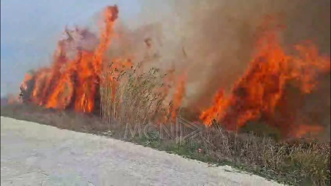Zjarr në kodrat e fshatit Sherisht në Vlorë (VIDEO)