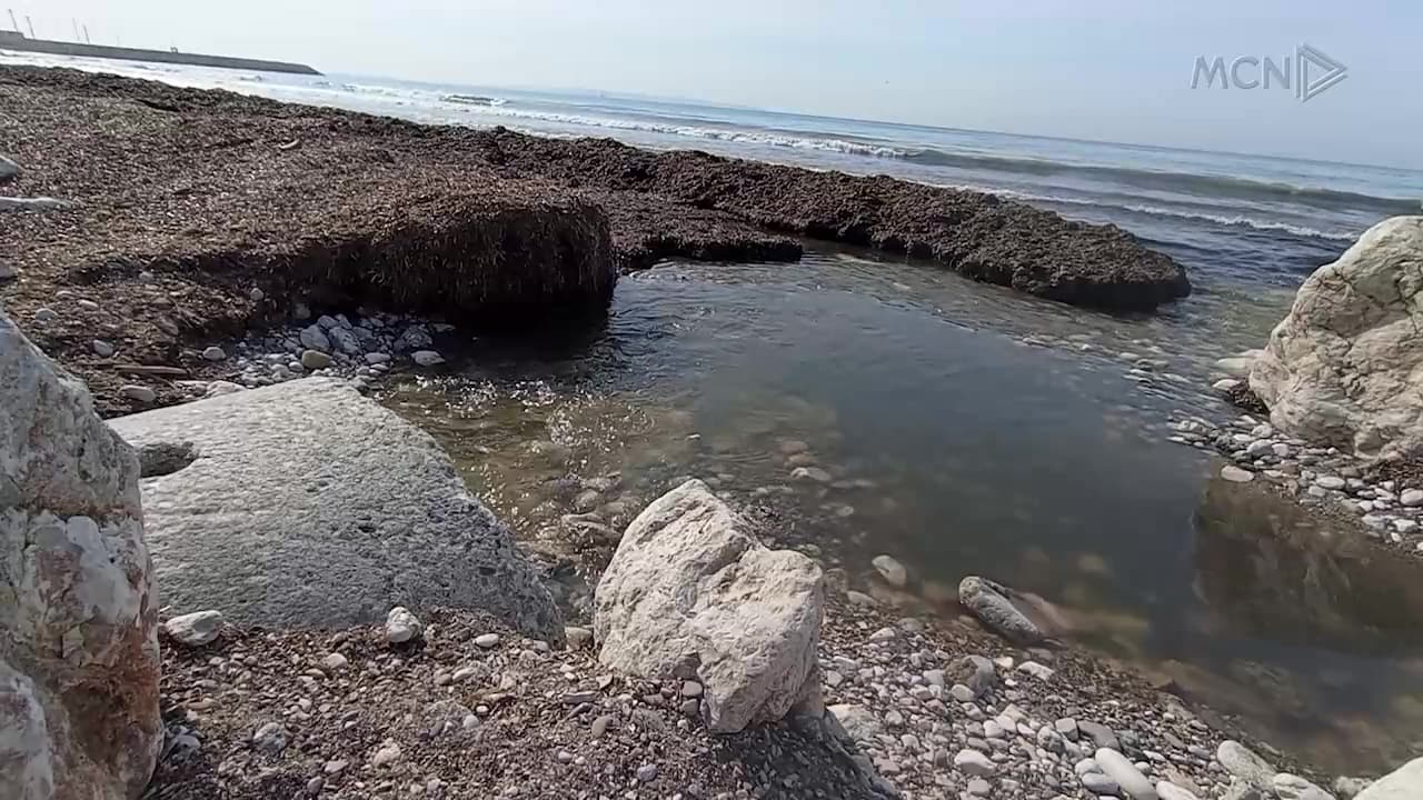 Durrës, ujërat e zeza derdhen në det / Era e rëndë shqetëson qytetarët, rrezik për shëndetin dhe turizmin (VIDEO)
