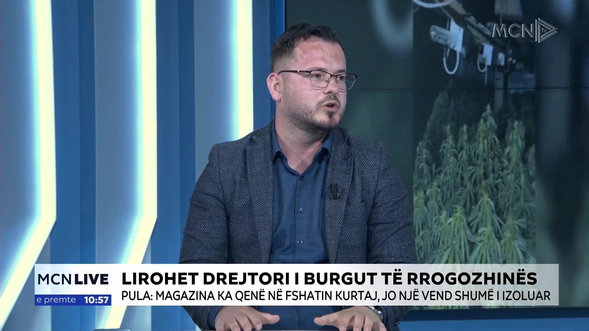 4 mijë rrënjë kanabisi në magazinën e Bilal Hasës/ Pula: Dyshohet se kultivoheshin nga vëllai, shpallet në kërkim (VIDEO)