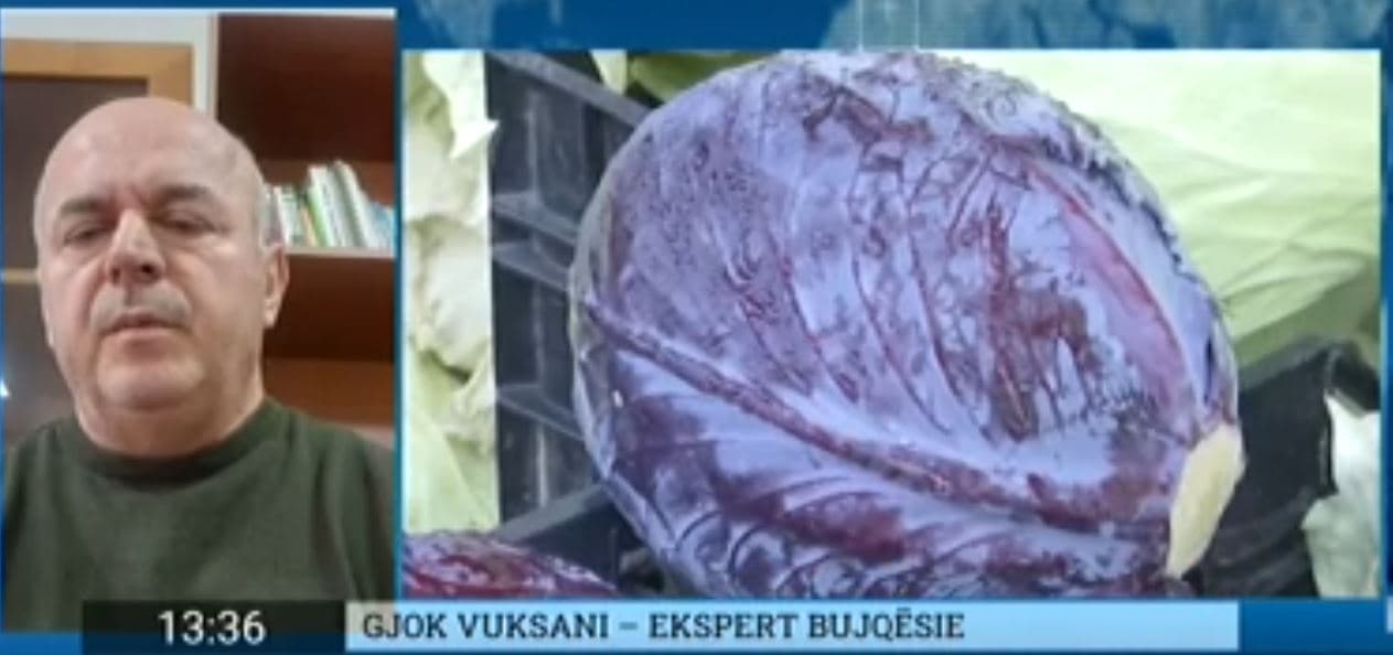 “220 lekë litri naftës”, eksperti i bujqësisë jep disa propozime për lehtësimin e krizës