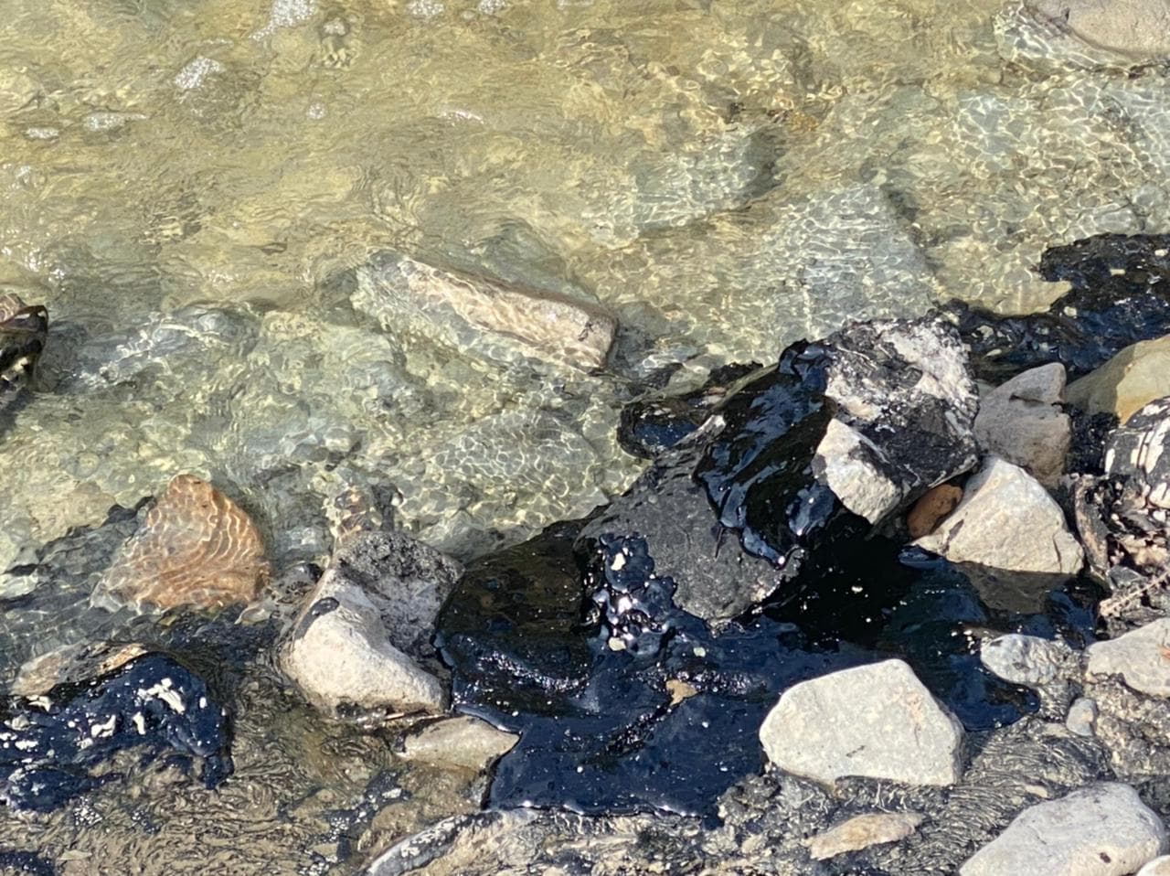 Ndotje e lumit Vjosa nga tubacioni i naftës, procedohen penalisht katër punonjës në Fier