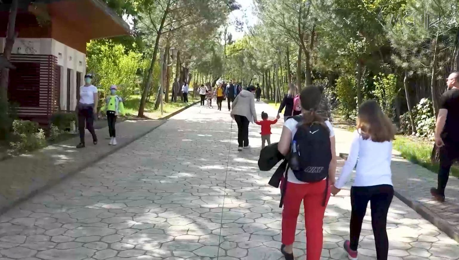 Shpërthejnë alergjitë e stinës/ Loloçi: Simptomat sezonale të ngjashme me ato të gripit (VIDEO)