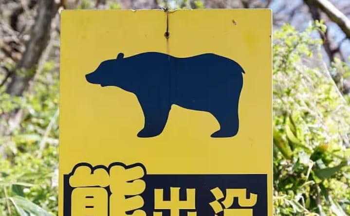 Japonia në alarm nga sulmet e arinjve, miratohet plan kombëtar emergjence 