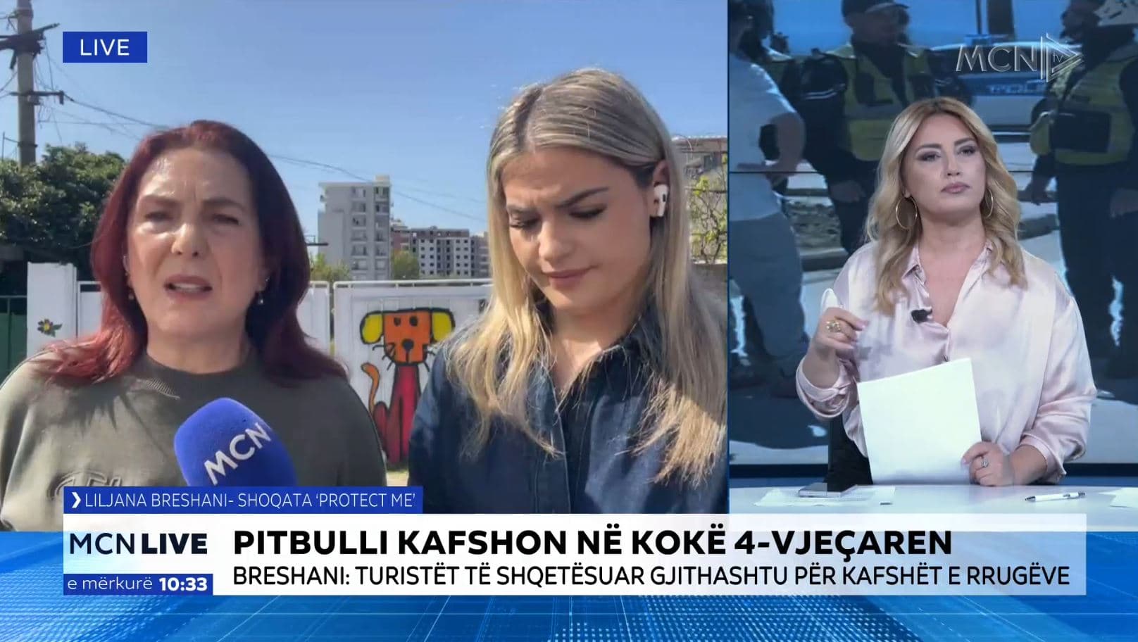 Pitbulli kafshon 4-vjeçaren në Vlorë / Breshani: Qentë e rrugës “gangrenë”, pushteti lokal përgjegjësi kryesor
