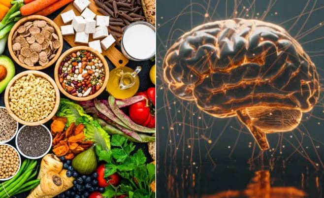 Studimi zbulon si të ulësh rrezikun e Alzheimerit deri në 11%