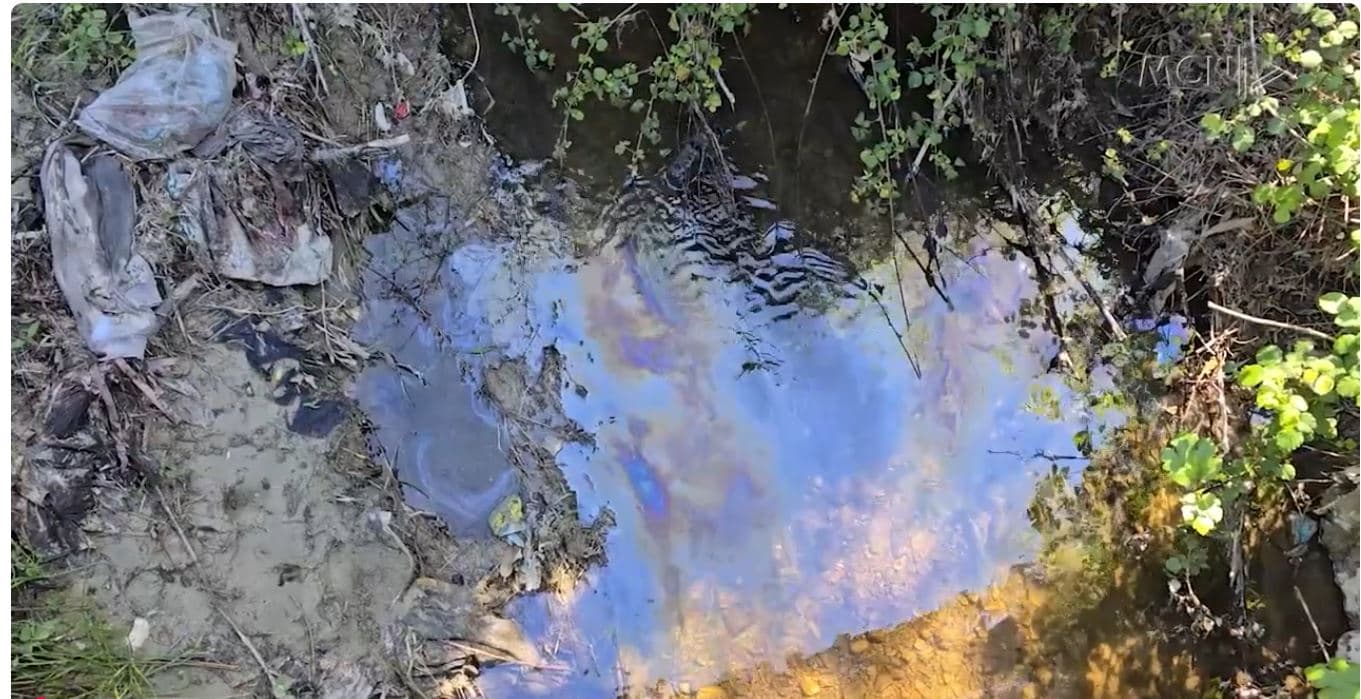 Ndotje e rëndë mjedisore në Fier. Çahet tubacioni i naftës, “Albpetrol” ndërhyn me vonesë