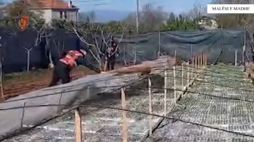     Tre të arrestuar për kultivim droge në Malësinë e Madhe, një tjetër në kërkim